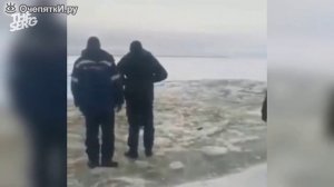 подборка прикольных видео 😁