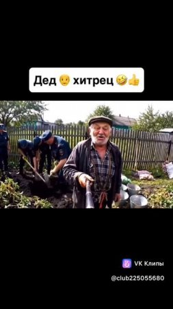 огород