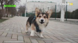 А что там есть? В Будённовске