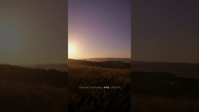 Любовь — не сделка.