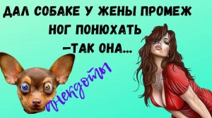 Дал псу промеж ног жены понюхать ,так он ...❗Свежие АНЕКДОТЫ 2025