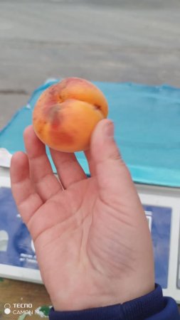 Я продавец🤣