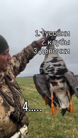 Какой вариант выбираешь?