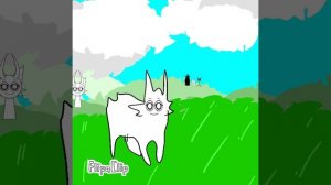 венда + кот =....