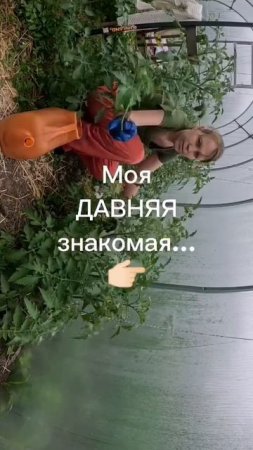 И так бывает
