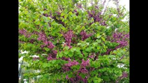 До вечности рукой подать. Поэма. Глава 1