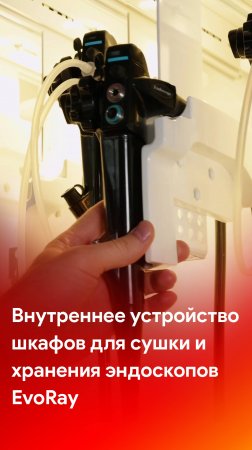 Внутреннее устройство шкафов для сушки и хранения эндоскопов EvoRay