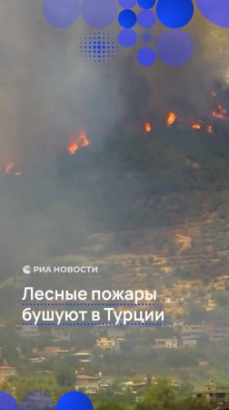 Лесные пожары бушуют в Турции