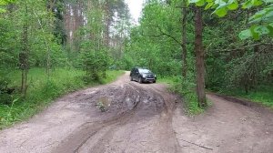 Бездорожье. Лес  Телеши.