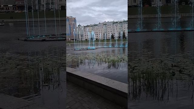 Красота Орла