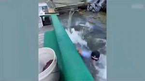 Всячинки
