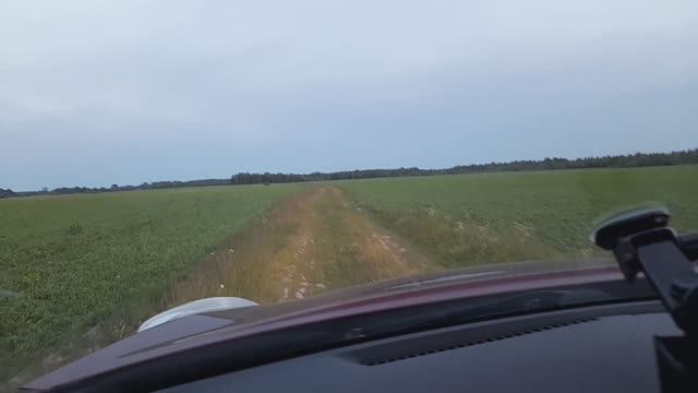Влог: поехали в поле и не ожидали выехать к ТАКОМУ !! 😮