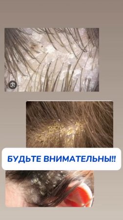 -4753040658086038393