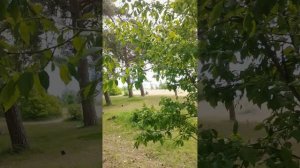 Просто классная велопрогулка вдоль побережья Финского залива.