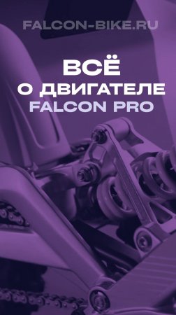ВСЁ О ДВИГАТЕЛЕ FALCON PRO 79BIKE