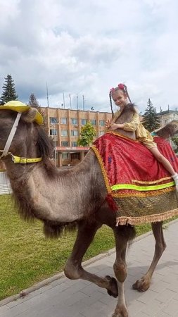 Катаюсь на верблюде, очень классно 🤟🤘😎😍🤩