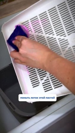 WB #234577722 OZ #1664064287 эта паста помогает мне отмыть весь дом!