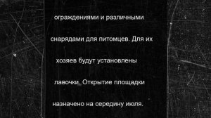 В Екатеринбурге появятся новые собачьи площадки и скейт-парки