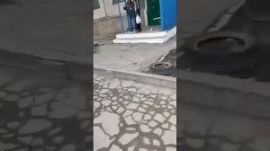 Настучал двум ментам и ушел....красиво!