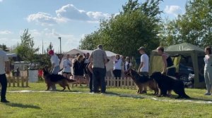 РАБОЧИЙ КОБЕЛИ ДШ / КЧК БРОННИЦЫ 24 мая`25 F.Bogoeski, О.Васильев Моно немецких овчарок