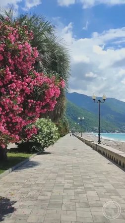 Гагра, Абхазия🌴