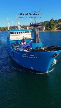 🚢 Смотрите, как промысловое судно F/V Bering Leader проходит через шлюзы Баллард и Шилшол-Бэй