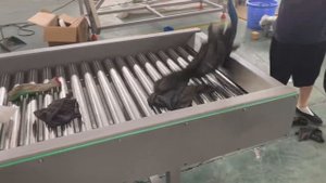 Инспекционный роликовый стол Leaddenmar RollTable