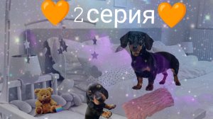🧡2 серия 1 сезон сериал „Будни Таксика”🧡
