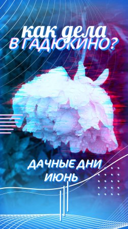 Что же происходит в Гадюкино?