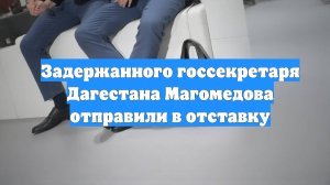 Задержанного госсекретаря Дагестана Магомедова отправили в отставку