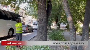 "Вы спросили - мы ответили": на какой высоте должны быть ветви деревьев над тротуаром?