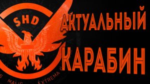 Актуальные сборка на Карабин 1886 лето 2025 The Division 2