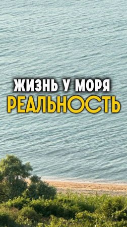 МОРЕ - РЕАЛЬНОСТЬ