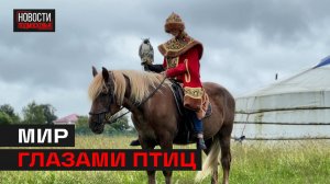 Погрузиться в историю соколиной охоты можно в Мытищах