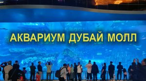 Грандиозный Аквариум в Dubai Mall