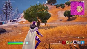 Fortnite "Весёлые моменты" "Для души"