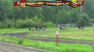 28.06.2025 - Заезд 3: Приз "Имени Алтайского конного завода" для кобыл орловской породы 3-х лет.