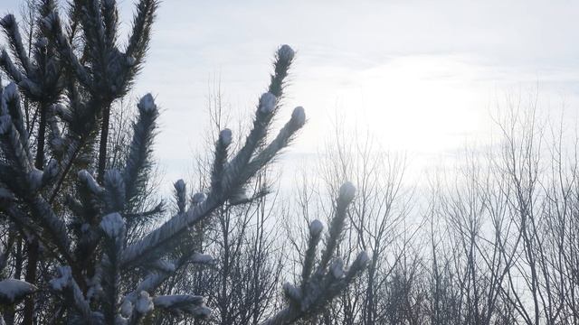 Лучшие фотографии на Canon m200 (первая серия)