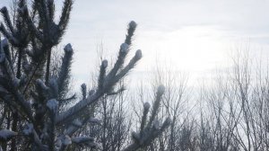 Лучшие фотографии на Canon m200 (первая серия)