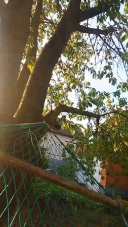 жизнь прожить не поле перейти