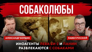 Собаколюбы. Иноагенты Лева Би-2 и Панин развлекаются с собаками