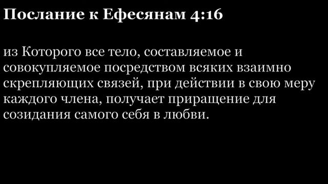 Послание Ефесянам, глава 4 смотреть онлайн