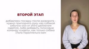 Фрагмент урока из курса "Чем заняться с собакой дома?"