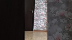 повторяем трюки нам медальница