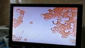 Влияние нашего структурированного крема на организм человека.