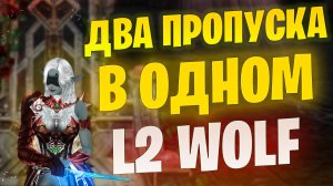 Слишком жирный пасс в Lineage 2 Project Wolf