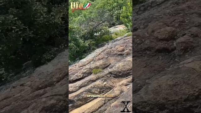 1000012436.mp4