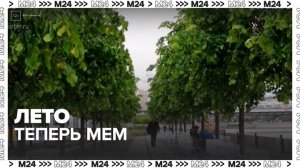 Соцсети заполонили видео-мемы про московскую погоду - Москва 24