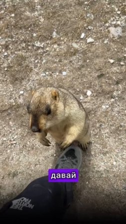 Путешествие по Тибету. Продолжение