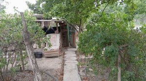 огород дедушки и бабушки